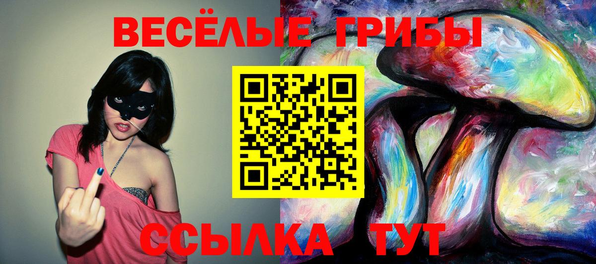 Галлюциногенные грибы прущие грибы Алейск