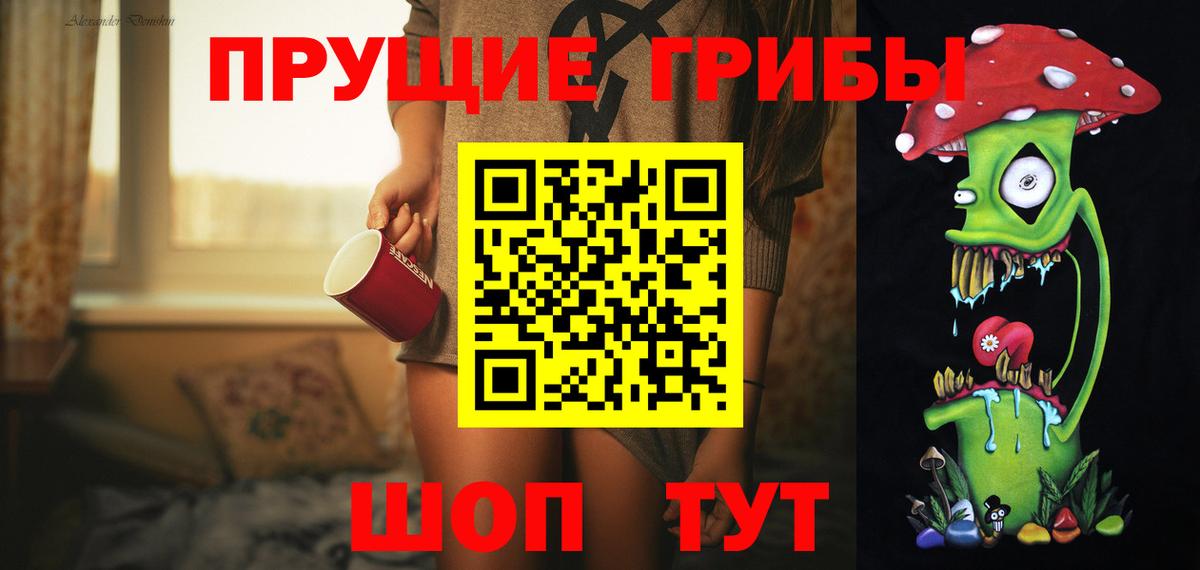 что такое наркотик  Вход с VPN  Алейск  Псилоцибиновые грибы MAGIC MUSHROOMS 